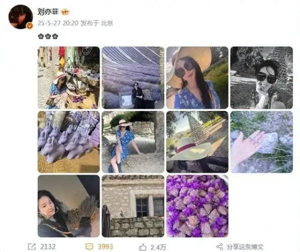 科元网 刘亦菲旅游照又美又飒，在戛纳吃越南粉食欲良好，素颜有些驼背