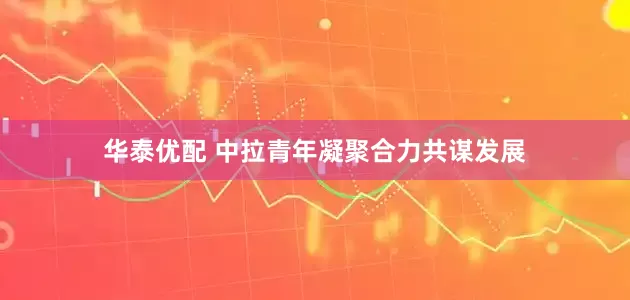 华泰优配 中拉青年凝聚合力共谋发展