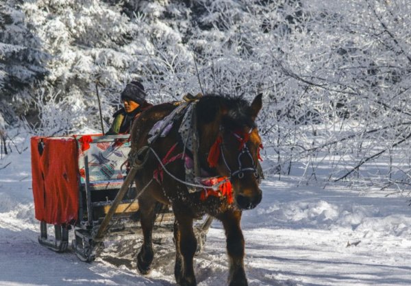 聚美策略 西南最值得造访的雪山