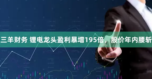 三羊财务 锂电龙头盈利暴增195倍，股价年内腰斩